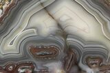 Polished Banded Agate Nodule Slice - Kerrouchen, Morocco #186960-1